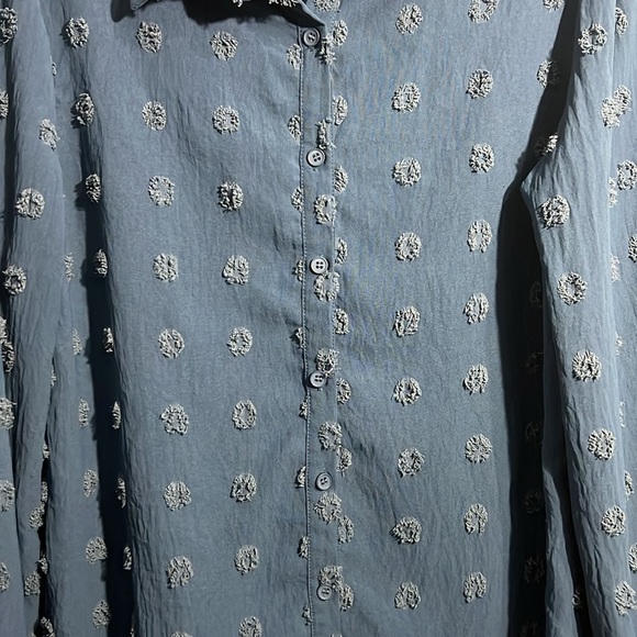 B Women’s Blue swiss dot button down top - Size Medium - Picture 2 of 5